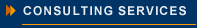Consulting Services